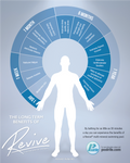 Revive - Balanced Multi-Mineral Formula