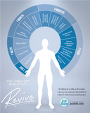 Revive - Balanced Multi-Mineral Formula